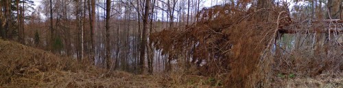 Les_26042013-3.jpg