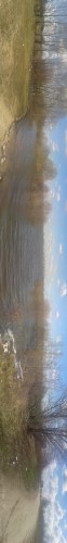 20130429_110902.jpg