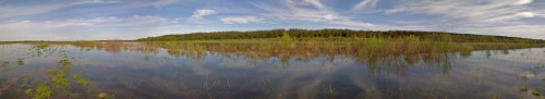 Les_09052013-2.jpg