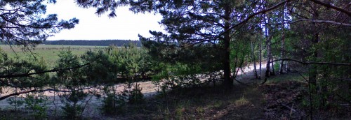Les_13052013-2.jpg