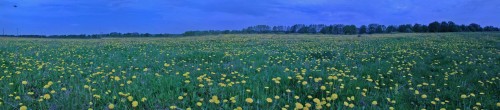 Les_16052013-3.jpg