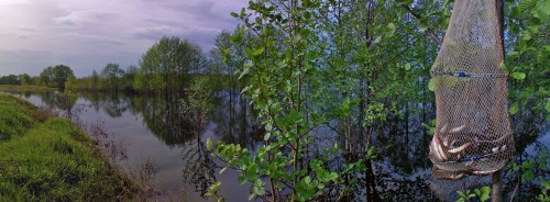 Les_16052013-5.jpg