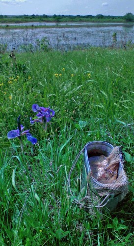 Les_28052013-5.jpg