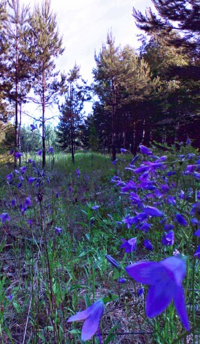 Les_09062013-2.jpg