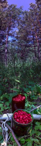 Les_17062013-3.jpg