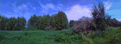 Les_24062013-4.jpg