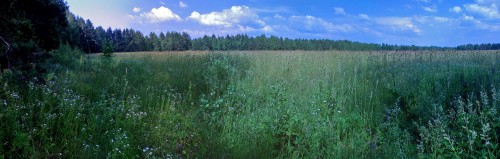 Les_26062013-1.jpg