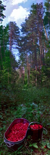 Les_26062013-2.jpg