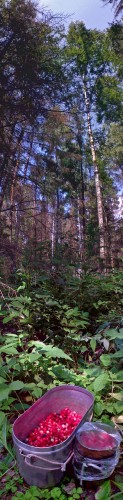 Les_27062013-2.jpg