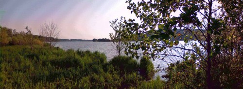 Les_06072013-2.jpg