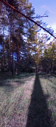 Les_06072013-4.jpg