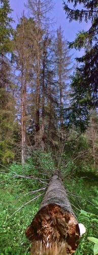 Les_10072013-1.jpg