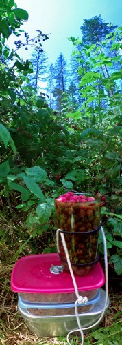 Les_10072013-2.jpg