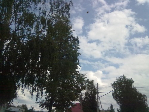 11072013241.jpg