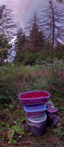 Les_15072013-2.jpg