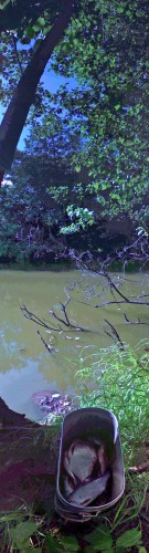 Les_17072013-4.jpg