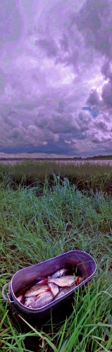 Les_22072013-3.jpg