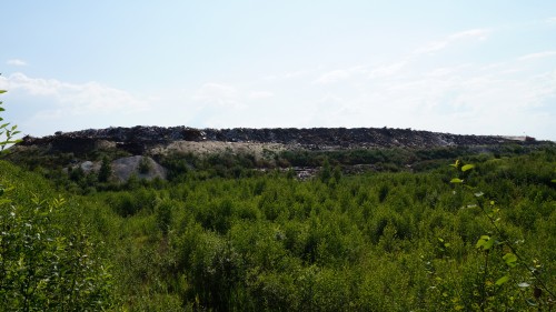 DSC03610.JPG
