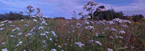 Les_24072013-2.jpg
