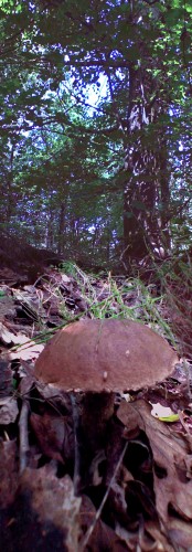 Les_24072013-5.jpg