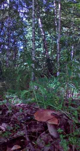 Les_24072013-6.jpg