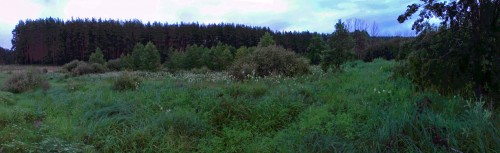 Les_28072013-2.jpg