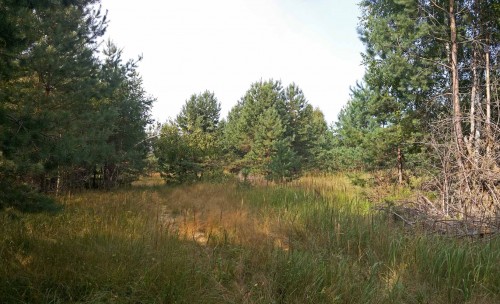 Les_06082013-1.jpg