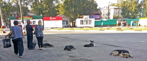 Vyksa-2013a.jpg