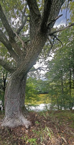 Les_16082013-3.jpg