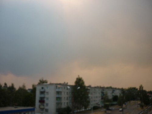 P1000776.jpg