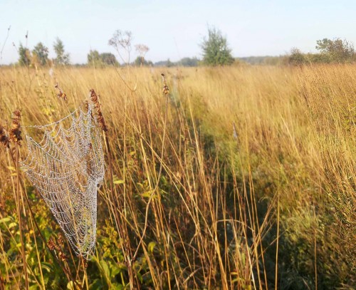 Les_21082013-3.jpg