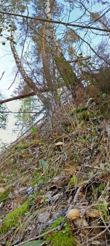 Les_02092013-1.jpg