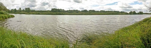 Les_02092013-4.jpg