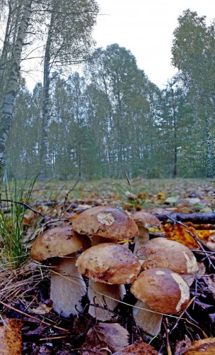 Les_11092013-6.jpg