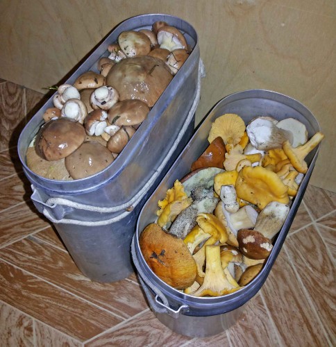 Les_11092013-7.jpg
