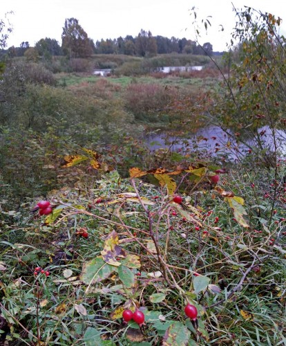 Les_22092013-2.jpg