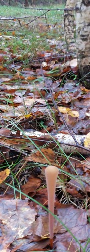 Les_24092013-2.jpg