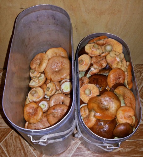Les_25092013-2.jpg