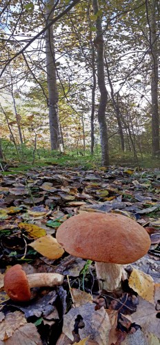 Les_27092013-3.jpg