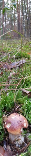 Les_02102013-2.jpg