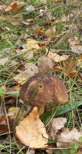 Les_04102013-2.jpg