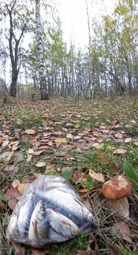 Les_07102013-2.jpg