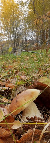 Les_09102013-2.jpg