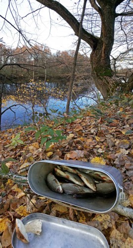 Les_14102013-1.jpg