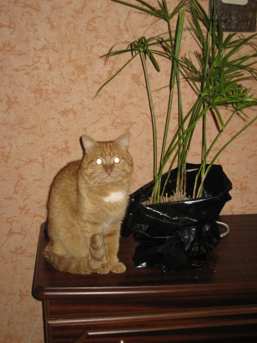 1 IMG_0546.JPG