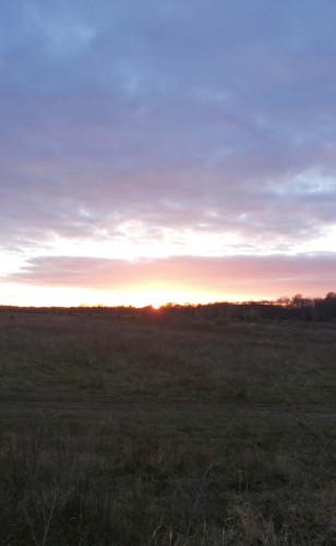 Les_22102013-2.jpg