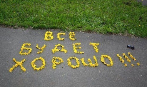 333.jpg