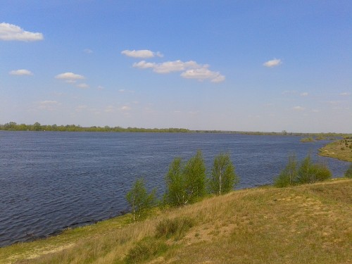 phone_1 358.jpg