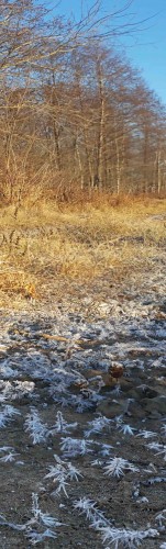 Les_19112013-3.jpg