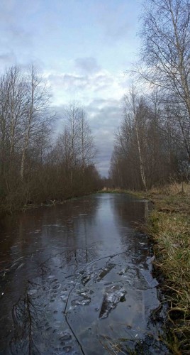 Les_25112013-4.jpg